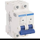 Disjuntor bipolar 25A